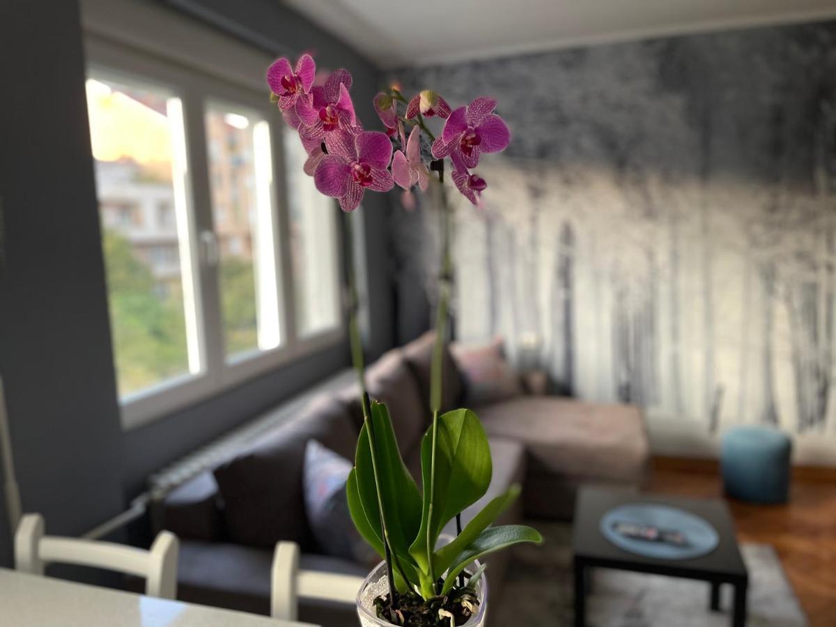 Apartman Avenia โนวีซาด ภายนอก รูปภาพ